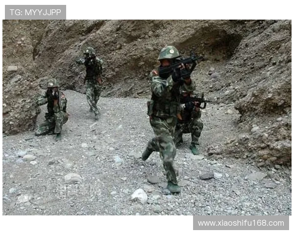 铁血卫士：照亮新疆反恐斗争的英雄史诗